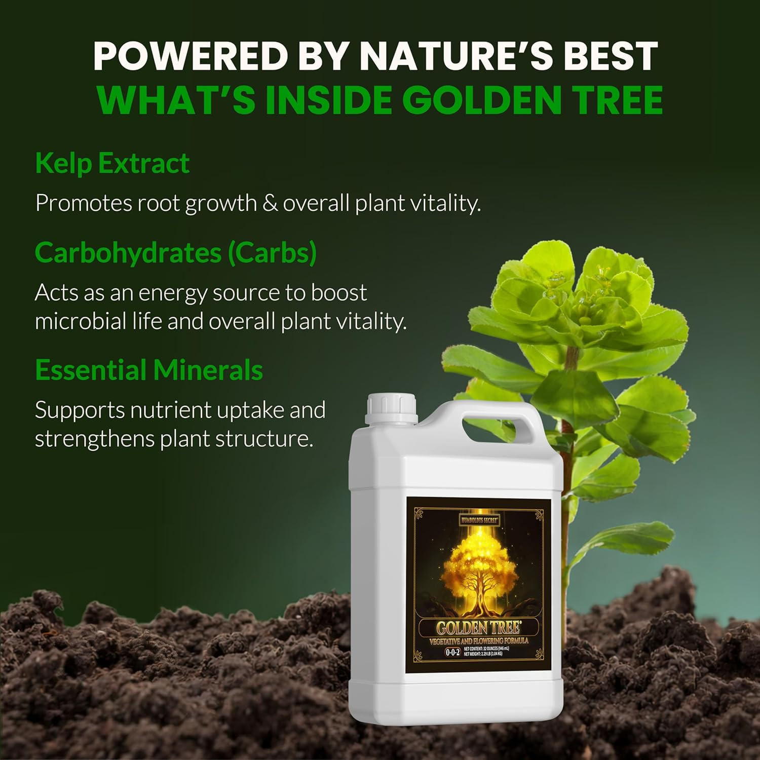 Golden Tree Liquid Plant Food | Enhances Growth Indoors or Outdoors | All-In-One