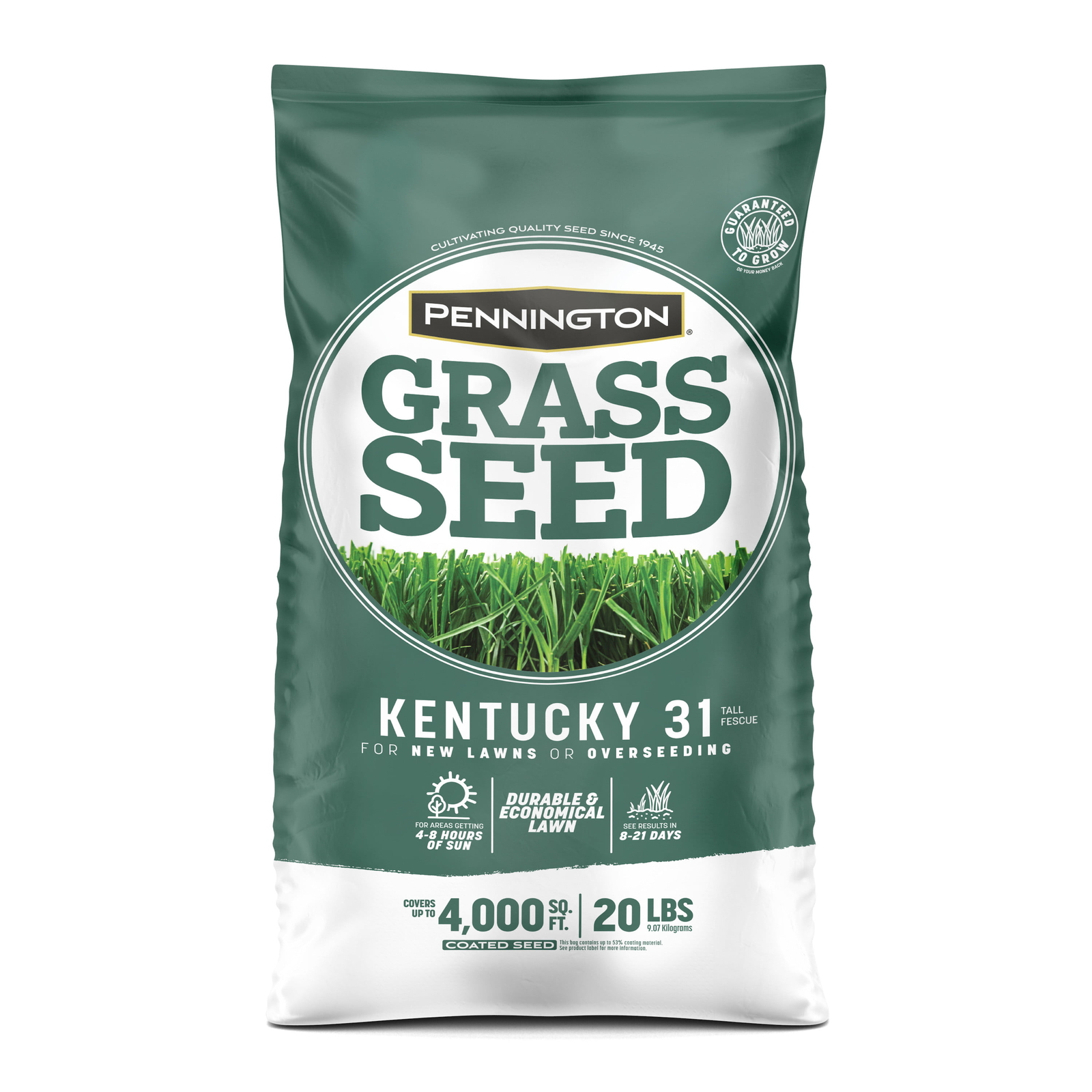 31 Tall Fescue Grass Seed for Sun to Partial Shade 20 lb Covers 4,000 sq. ft.