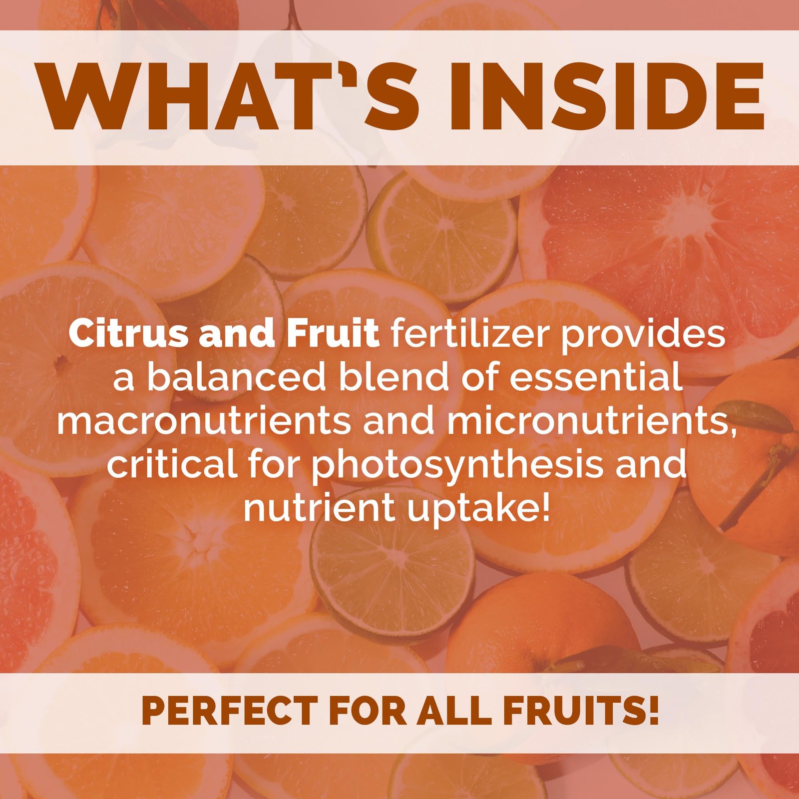 Bloom City Organic Citrus Fruit Fertilizer 128 Oz Slow Release Nutrient Mix