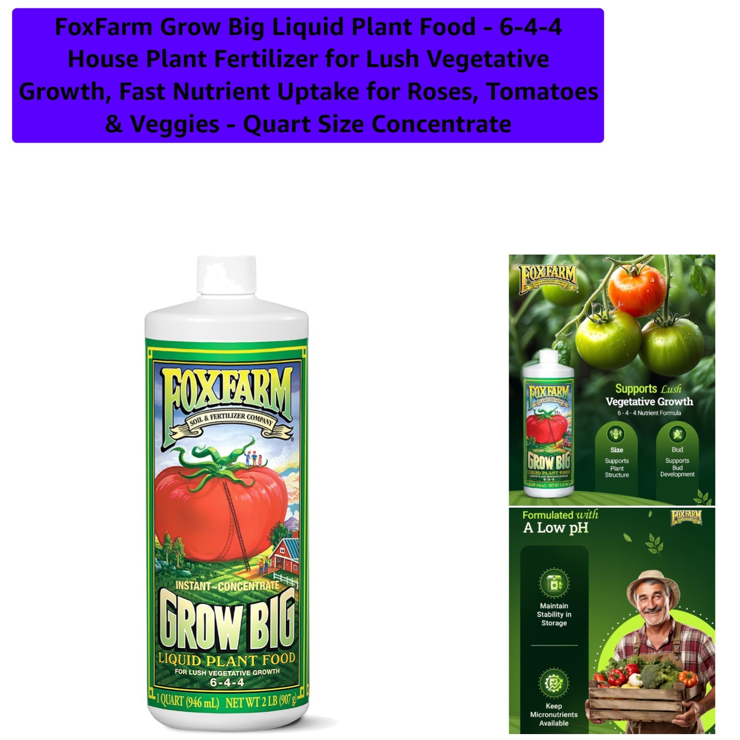 Nutrient-Rich 1 Quart Grow Big Concentrate – Perfect for Indoor & Outdoor Plants