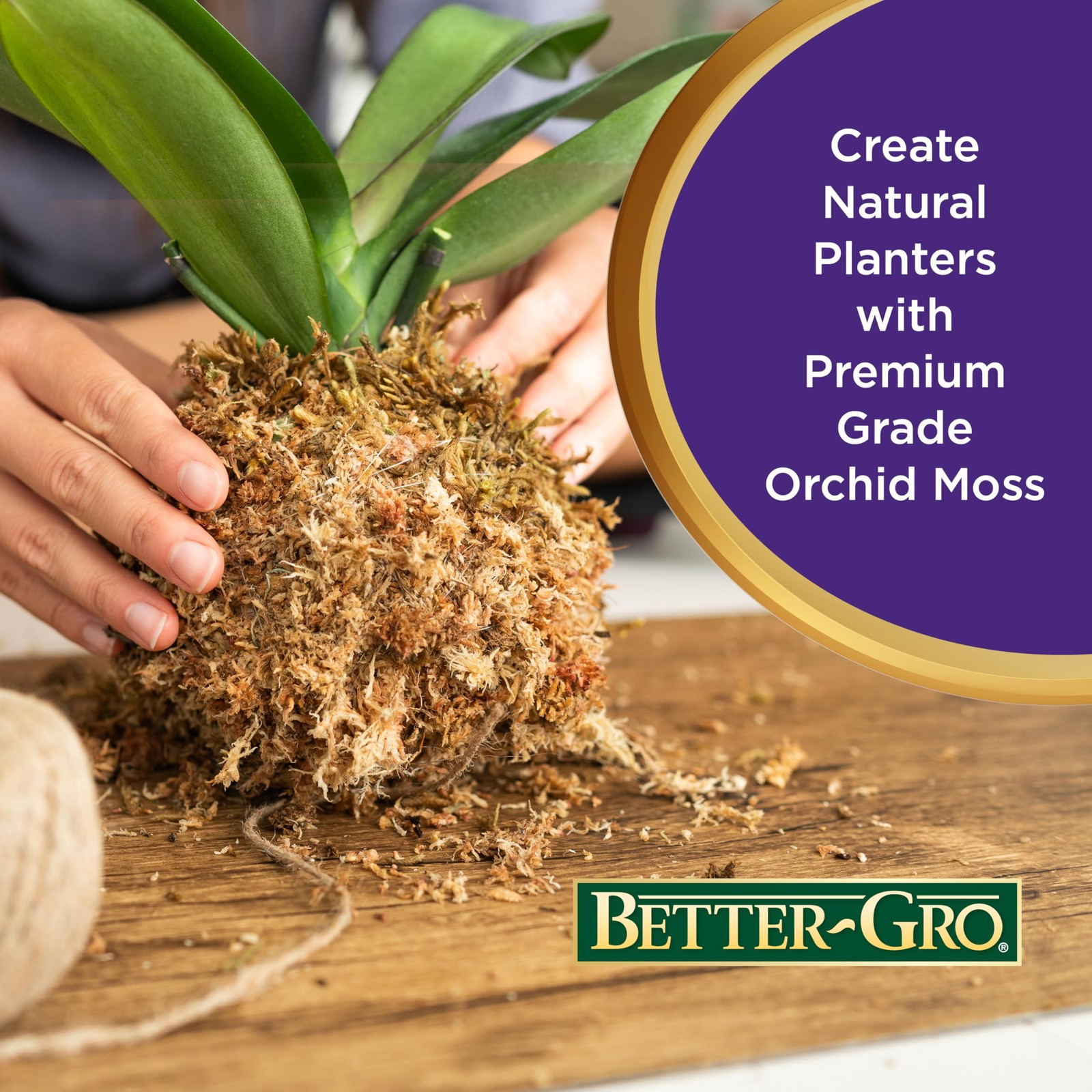 Premium Grade Orchid Moss 100% Natural, Imported Sphagnum Moss for Orchids, …