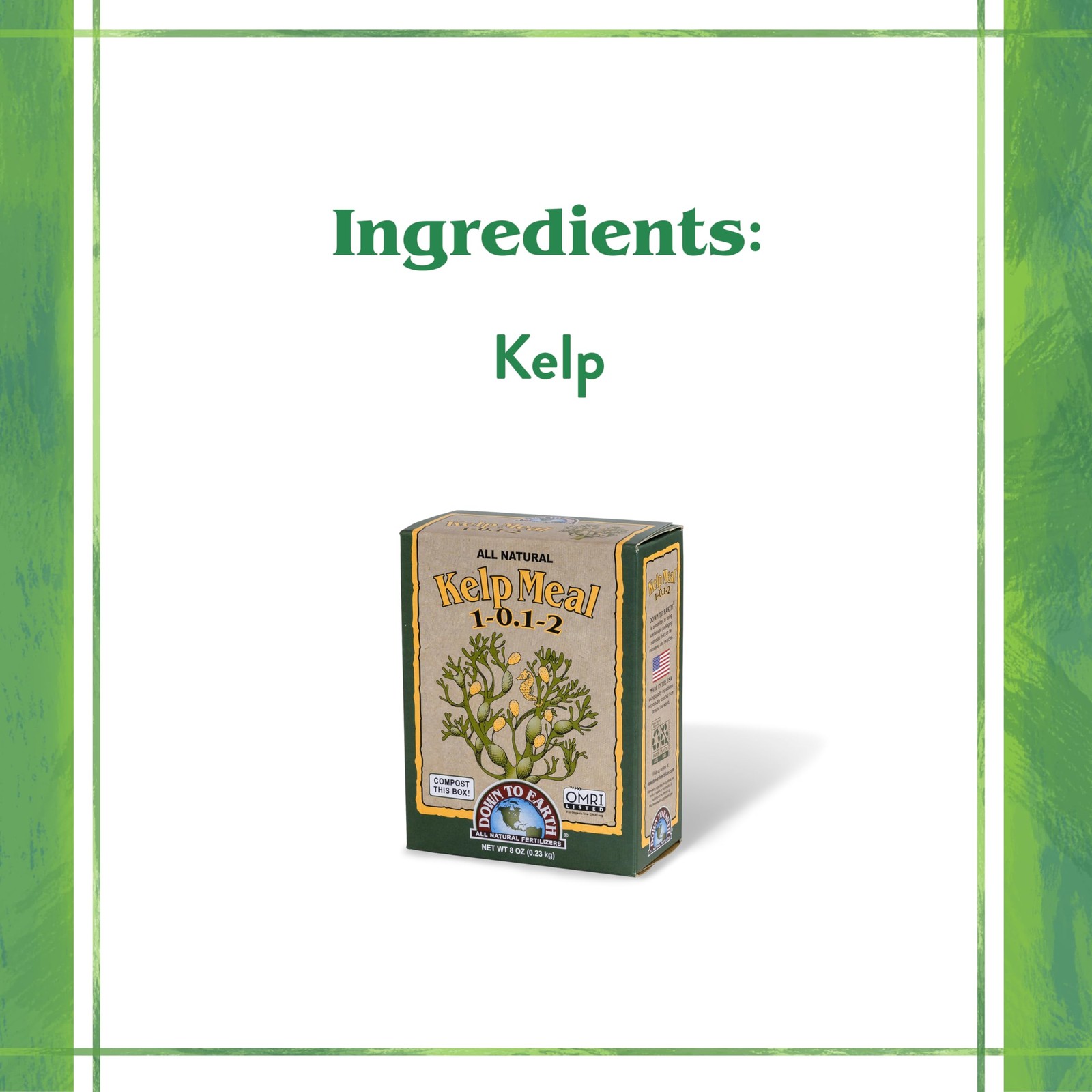 Down To Earth All Natural Fertilizers Organic Kelp Meal – Plant Food with Sea…