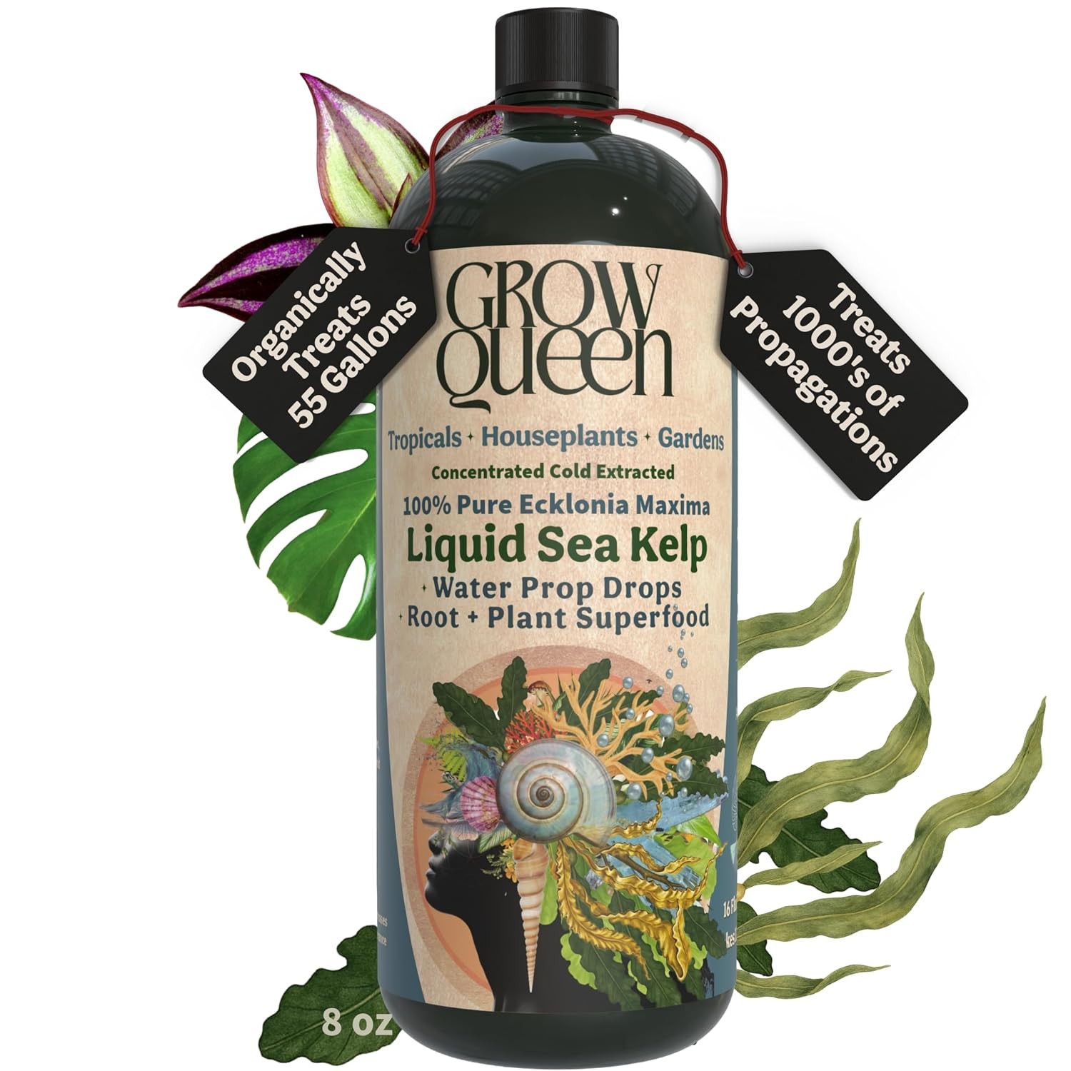 Organic Liquid Kelp & Seaweed Extract Prop Drop Ecklonia Maxima – Root Plant