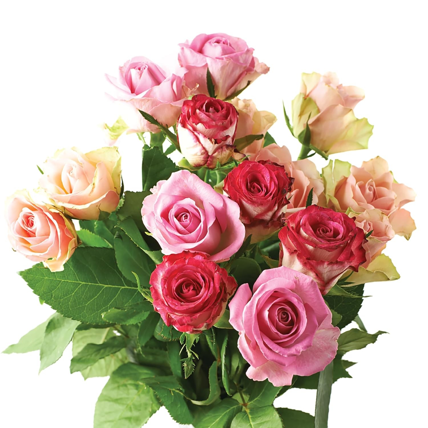 Granular Rose Fertilizer Organic Plant for Hydrangea Hibiscus Azalea and Other