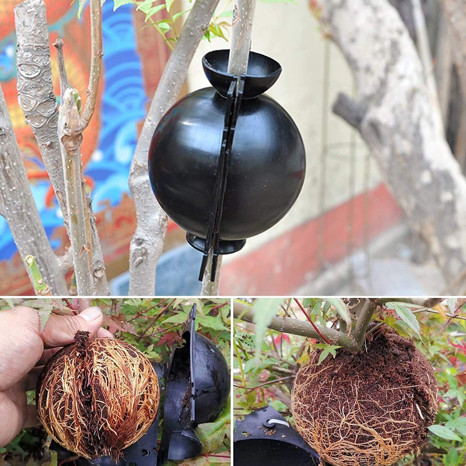18 Pack Tree Root Growing Box, Rooting Ball Grafting Tools,High Pressure Plan…