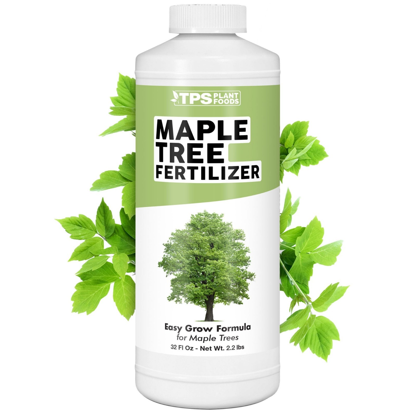 Liquid Maple Tree Fertilizer – Plant Food for Vibrant Color & Strong Roots, 32 o