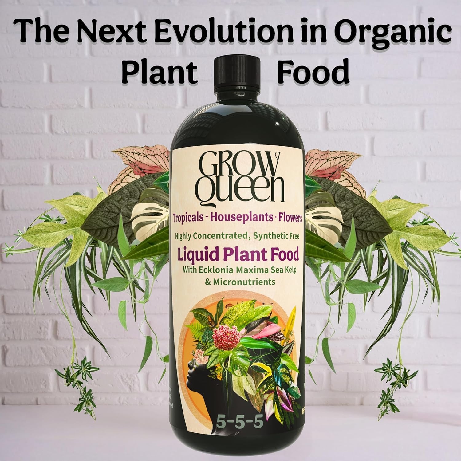Organic Liquid Fertilizer 5-5-5 for Indoor Plants w/ Sea Kelp 8oz