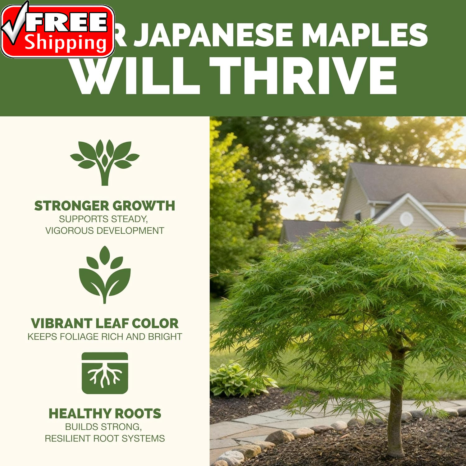 Japanese Maple Fertilizer – Liquid Plant Food for Vibrant Color, Stronger Roots