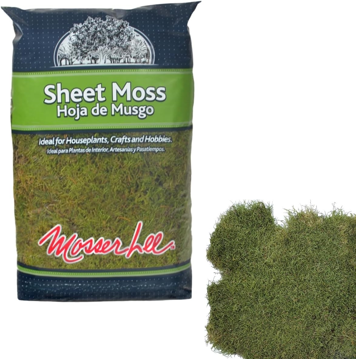 ML0480 Natural Green Sheet Moss – 520 sq. in. – Organic Decorative Moss for T…