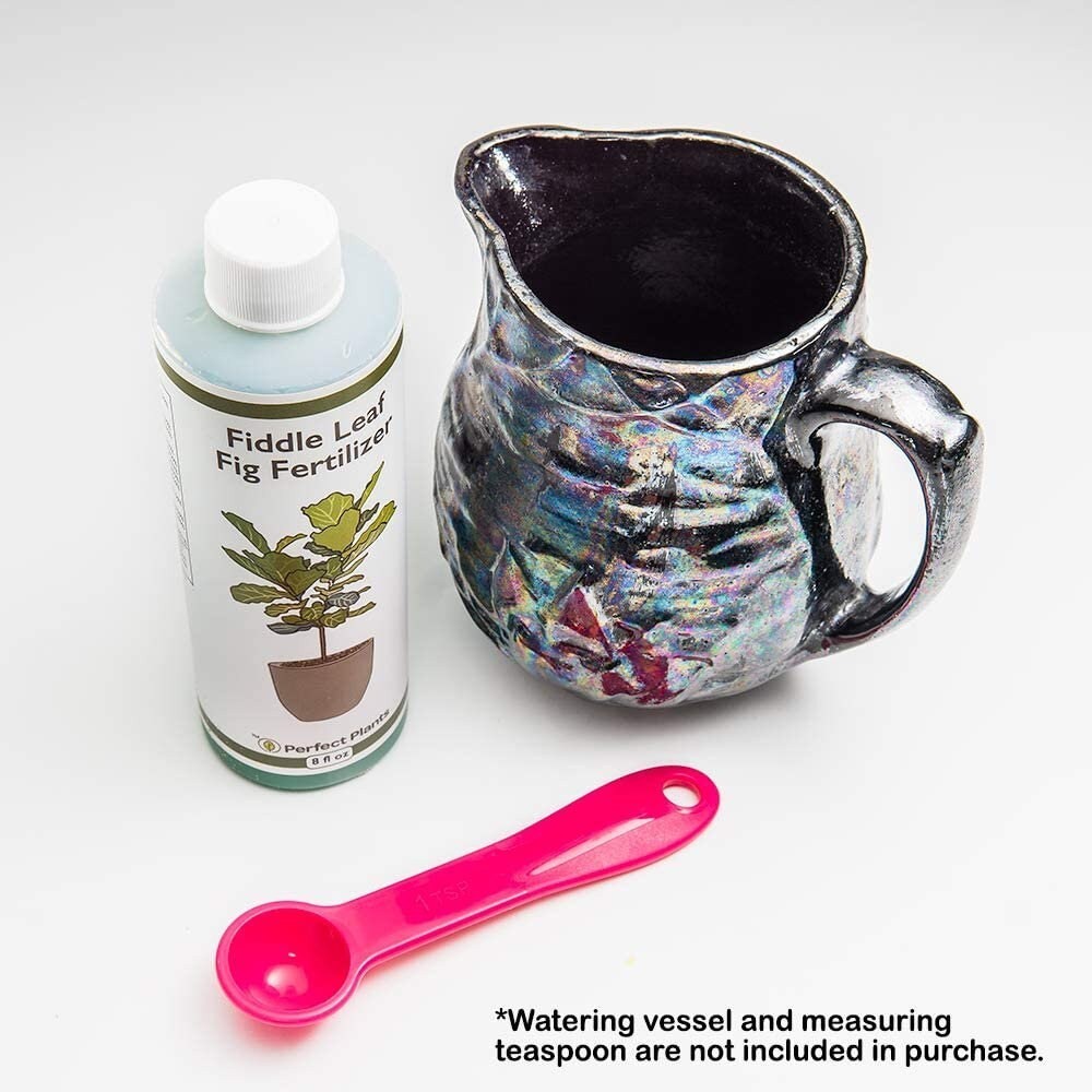 Liquid Fiddle Leaf Fig Fertilizer 2 Pack Concentrated Plant Food Leaf Booster