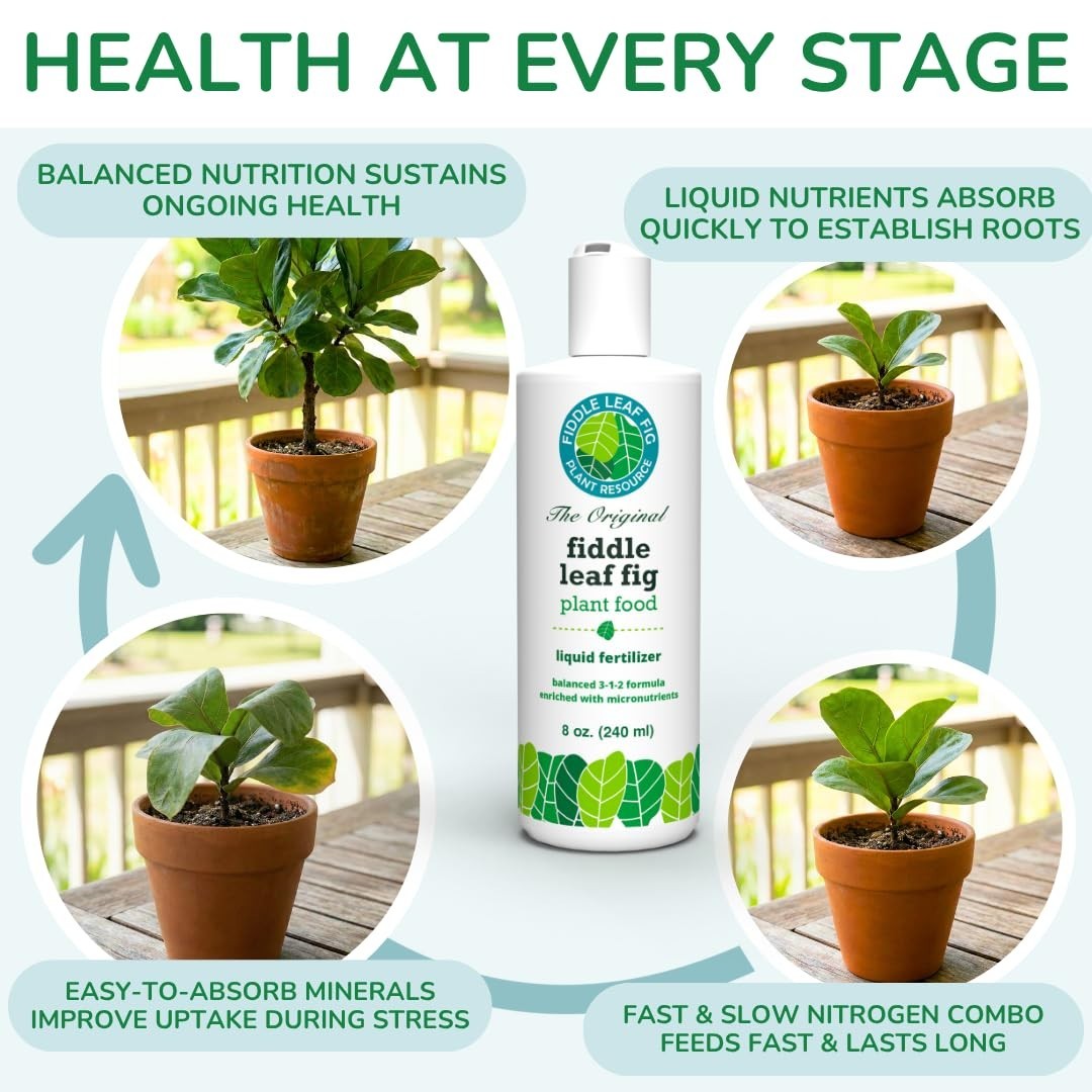 Balanced NPK Liquid Fertilizer for Fiddle Leaf Fig & Ficus – 8 oz, Stronger Root