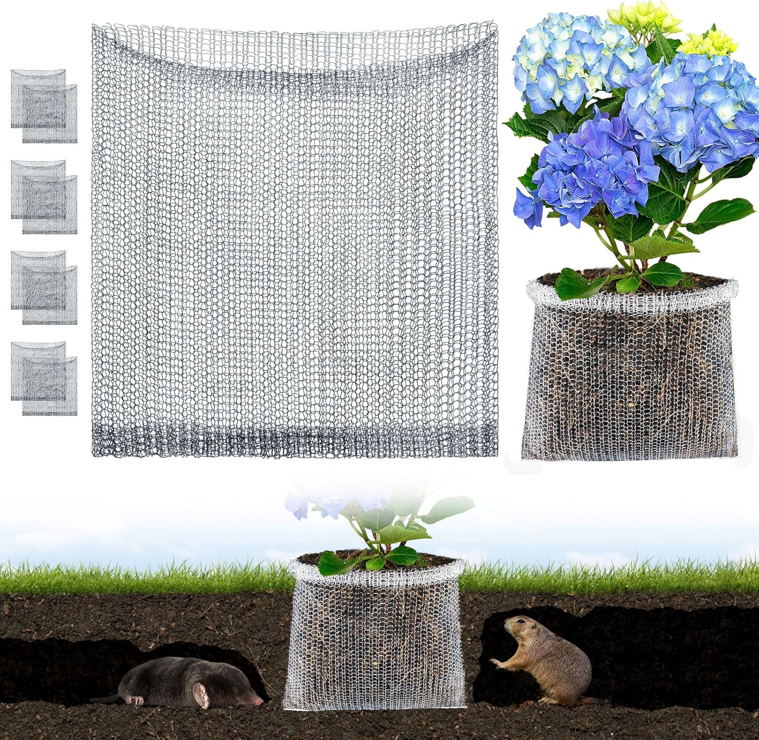 5 Gallon Plant Root Protector for Gopher Voles Moles, 6 Pack Stainless Steel Gua