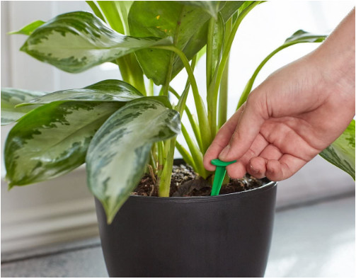 Miracle-GroIndoor Plant Food 48 Spikes to Promotes Flowering 2.2oz-Free Shipping