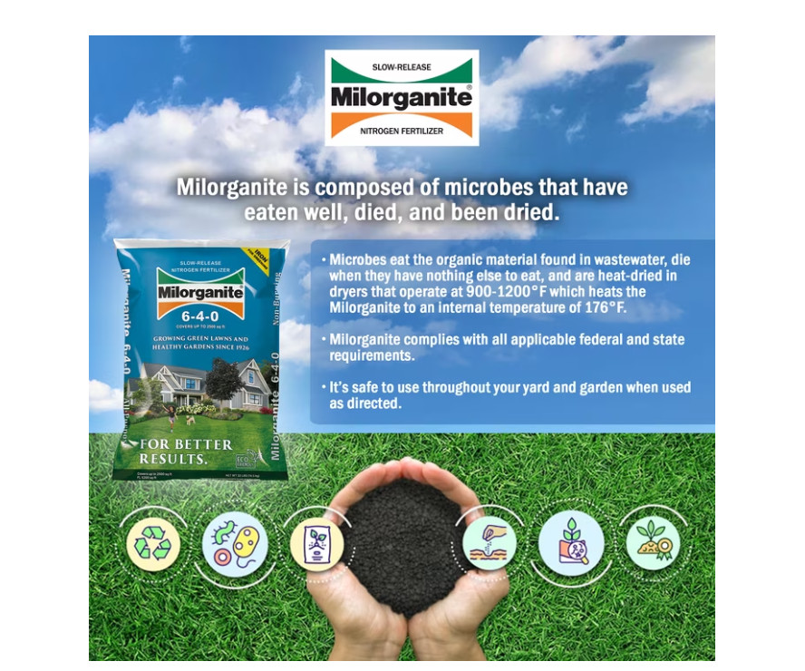 (2 pack) Milorganite Long Lasting All Purpose Lawn Food, 6-4-0 Fertilizer, 32 lb