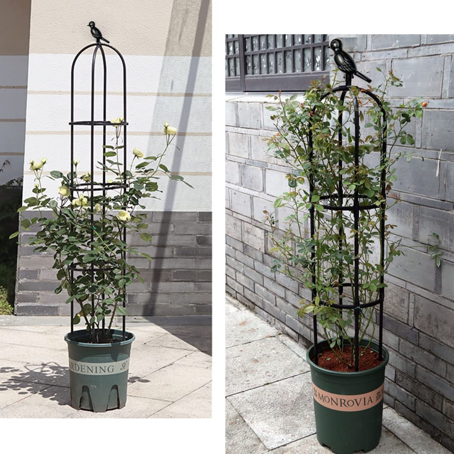 Garden Trellis for Climbing Plants Outdoor, Metal Plant Trellis with PE Coate…