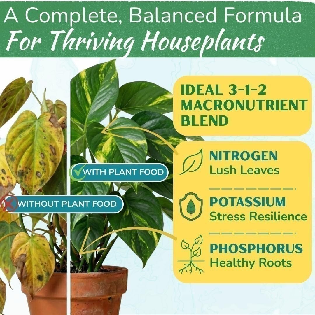 Indoor Plant Food – Organic Liquid Fertilizer for Pothos, Monstera & More (8oz)