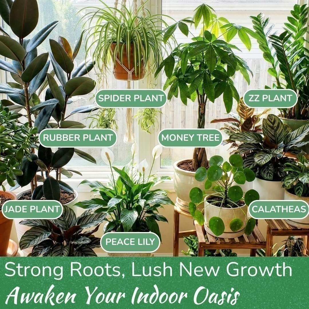 Indoor Plant Food – Organic Liquid Fertilizer for Pothos, Monstera & More (8oz)