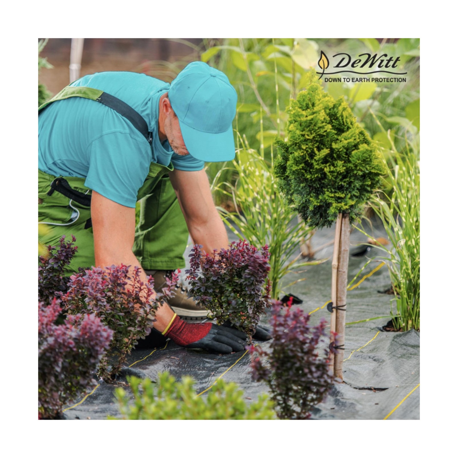 Dewitt Pro-5 Weed Barrier Fabric 5 oz, 4×250 & 6×250 Feet – Heavy-Duty Wov