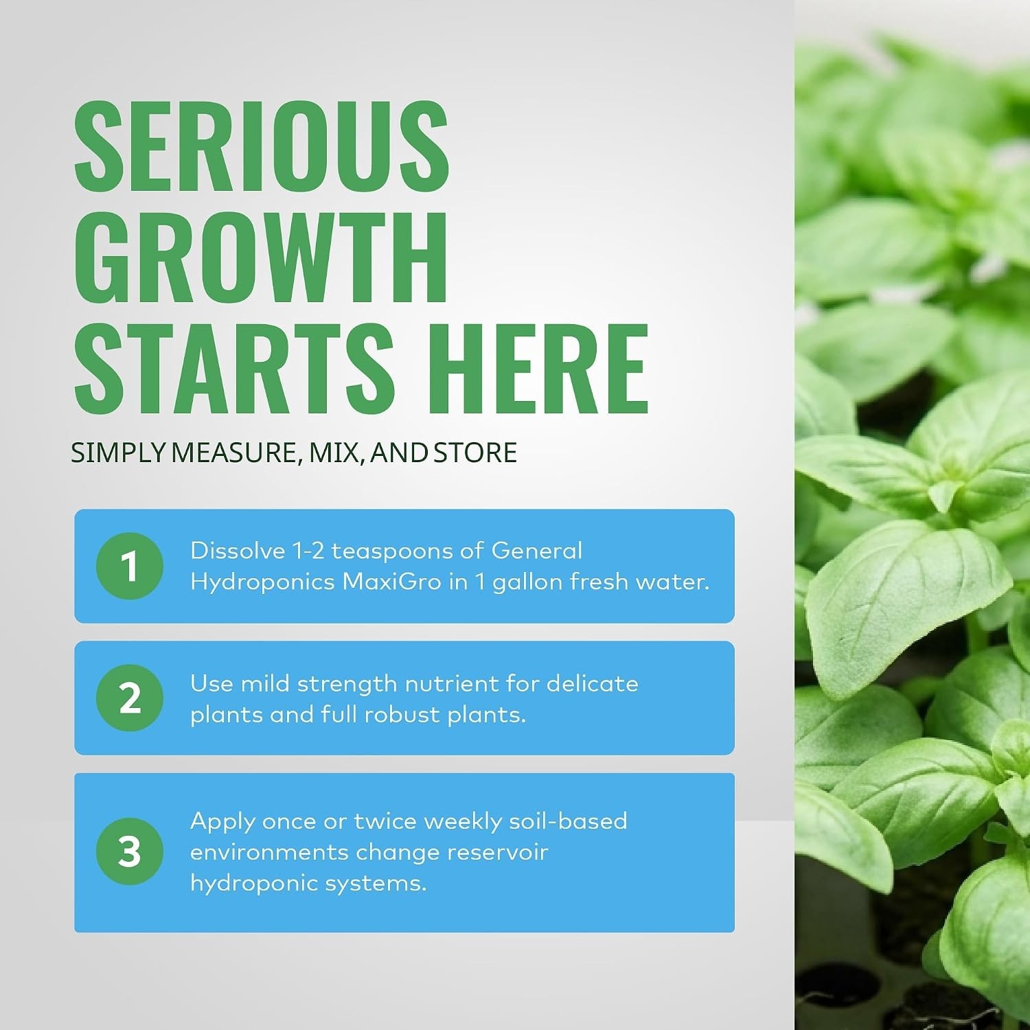 MaxiGro Plant Food for Vigorous Growth, 2.2 lbs.