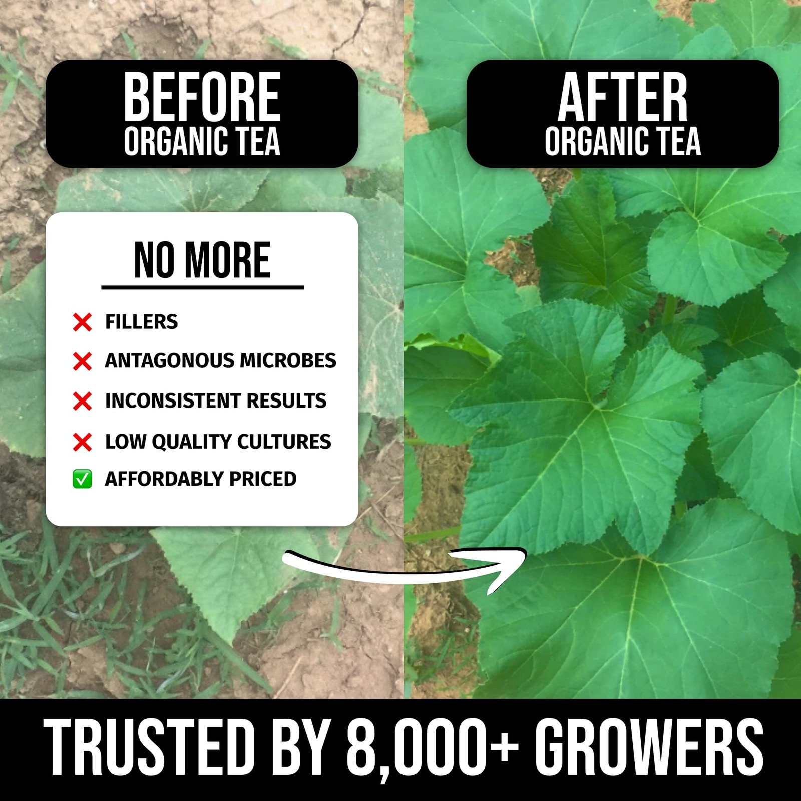 Organic Instant Compost Tea (5 oz) – Probiotic Plant Food Bloom Booster & Yie…