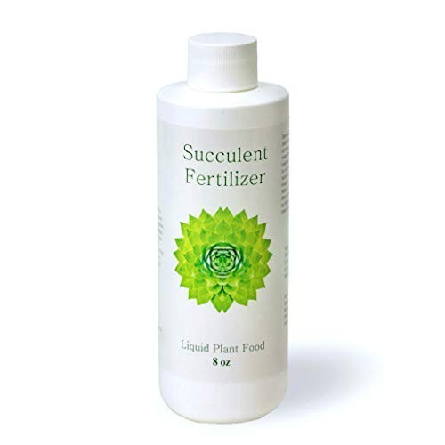 Succulent Fertilizer Liquid Plant Food 8 oz 3-1-2 NPK for Cactus Echeveria Aloe
