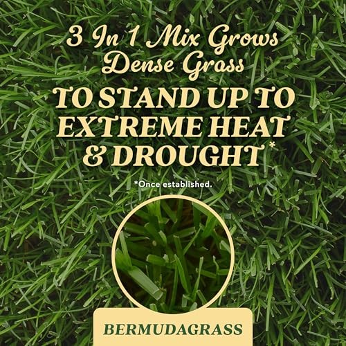 O.M. Scott and Sons Grass Seed – Lawn Seed, Fertilizer and 1 Pack Bermudagrass