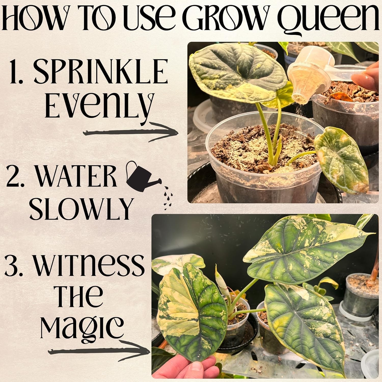 OMRI Listed 3lb Organic Fertilizer for Indoor & Garden Plants – Feeds 75 Plants