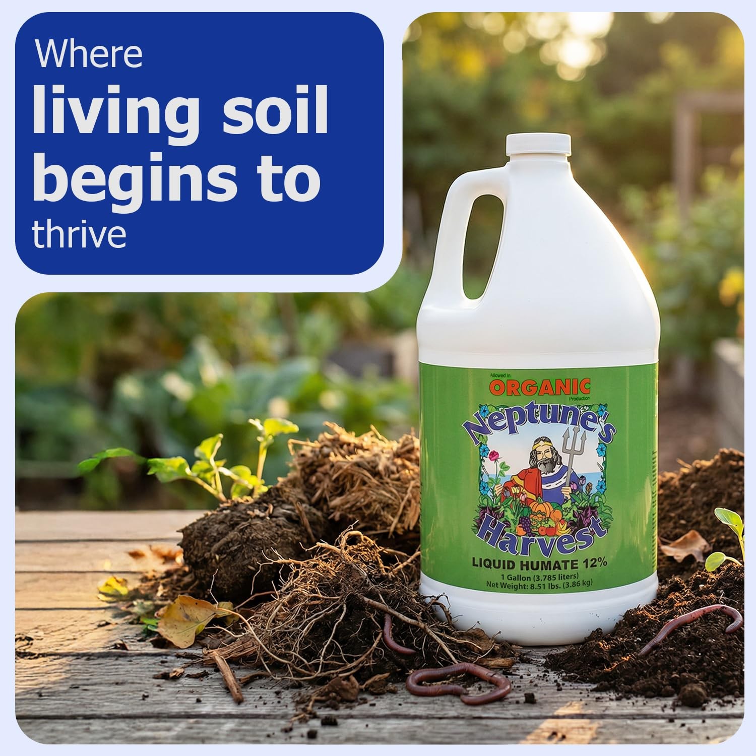 Liquid Humate 12 Concentrate – Organic Soil Conditioner with Humic Acid