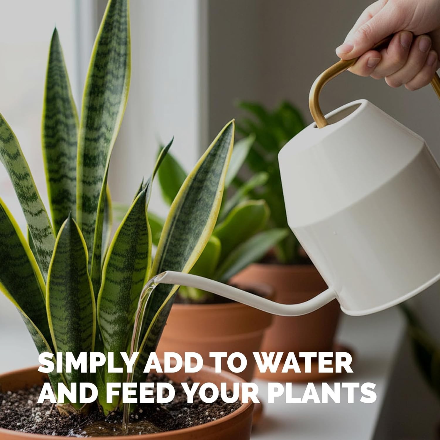 Indoor Plant Food Liquid Fertilizer 8oz for Houseplants