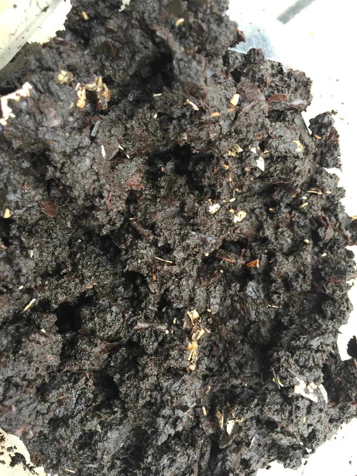 Vermicompost worm poop fertilizer for all plants! From happy home worm bin