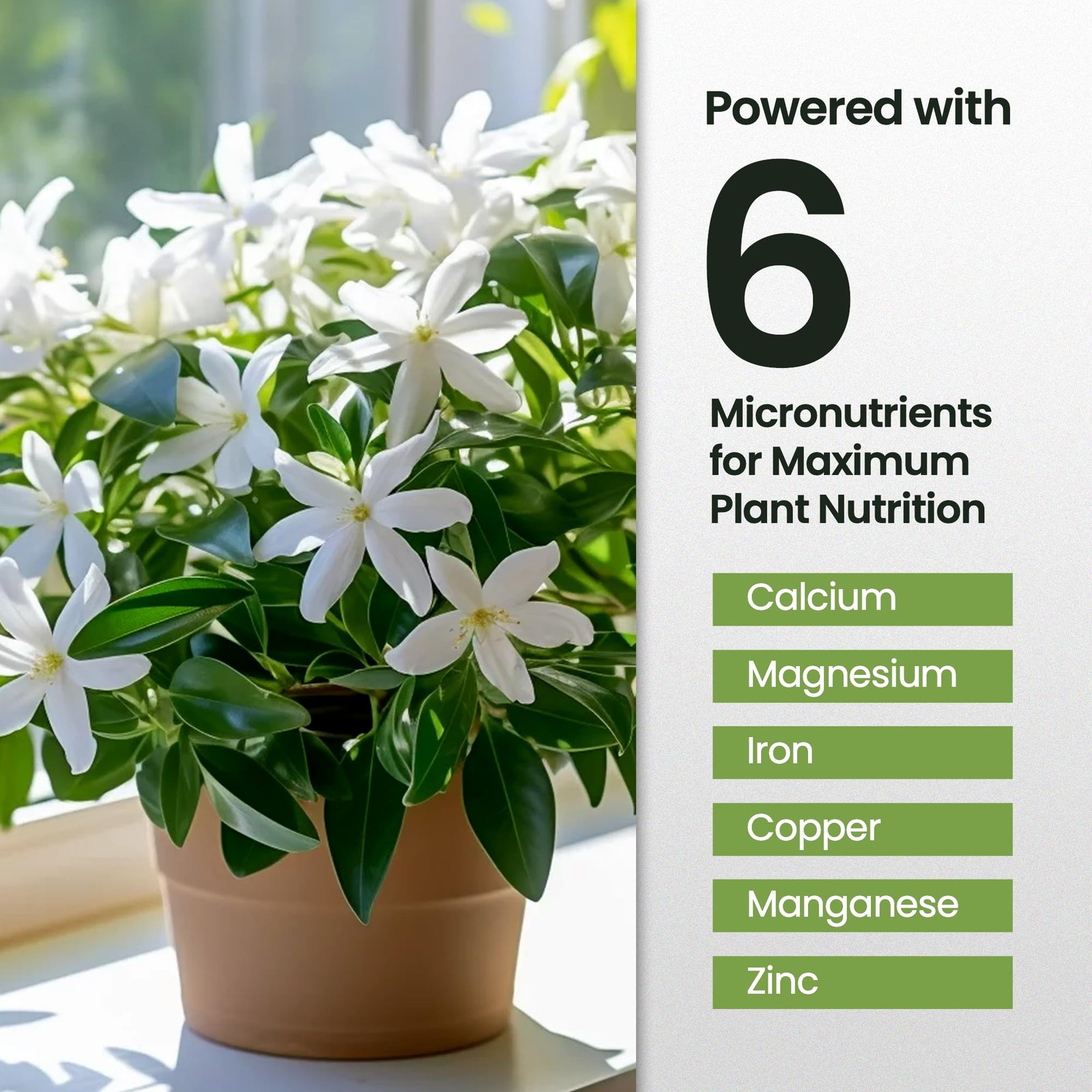 32oz Jasmine Fertilizer for Jasmine Plant Live – Makes 192 Gallons of Indoor Pla