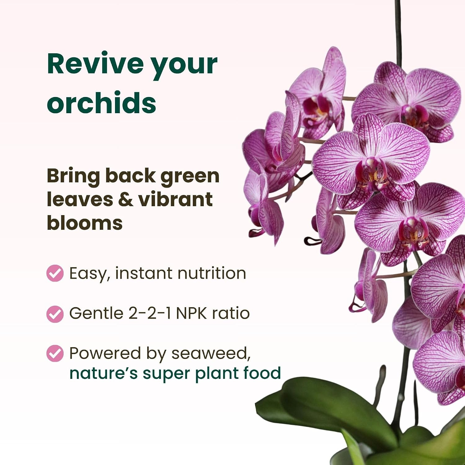Orchid Fertilizer Spray Kit | Orchid Food Spray for Blooming & Root Health, Enri