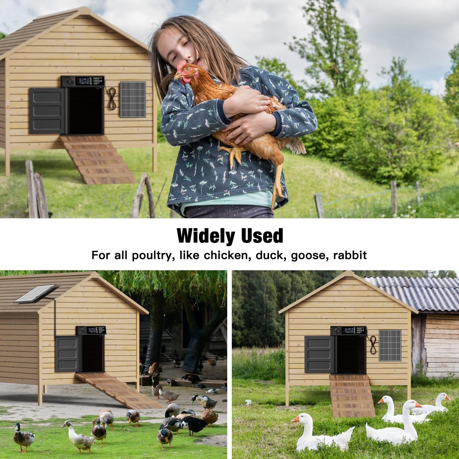 Pet Deluxe Automatic Chicken Coop Door Large Size Solar Powered Coop Door