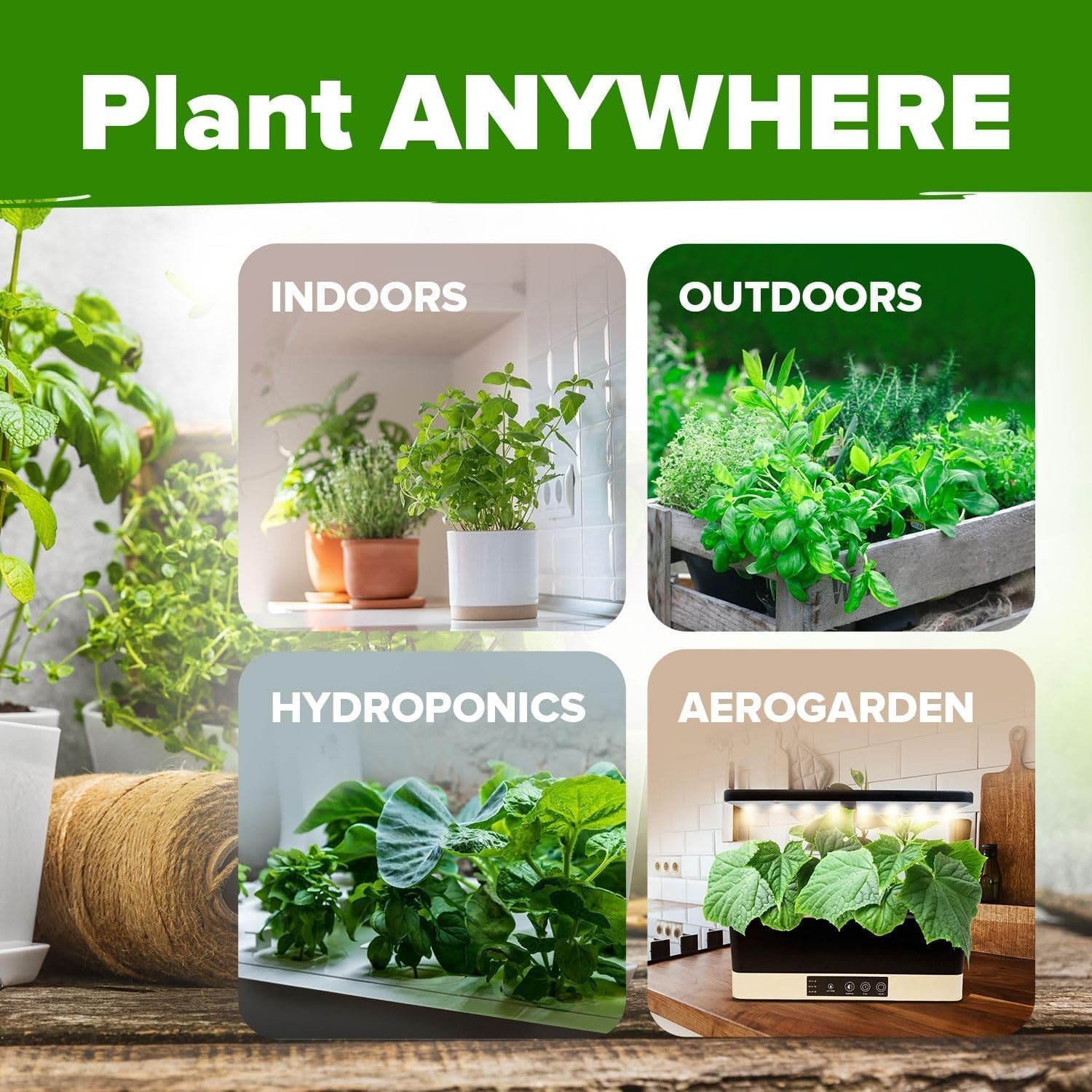 HOME GROWN 10 Herb Seeds for Planting 3,000+ Non-GMO Heirloom Seeds | Extra L…