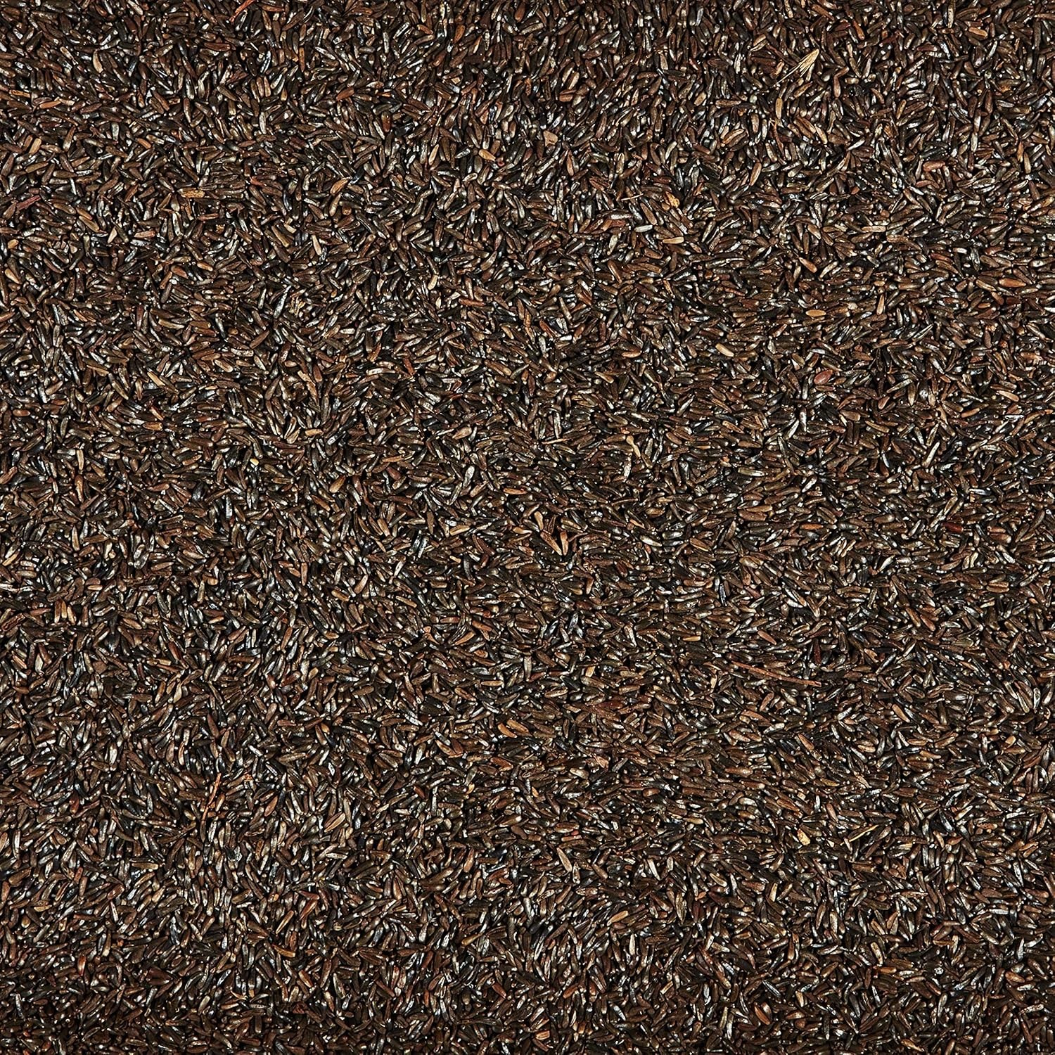 Kaytee Nyjer Wild Bird Food Seed, 5 Pound