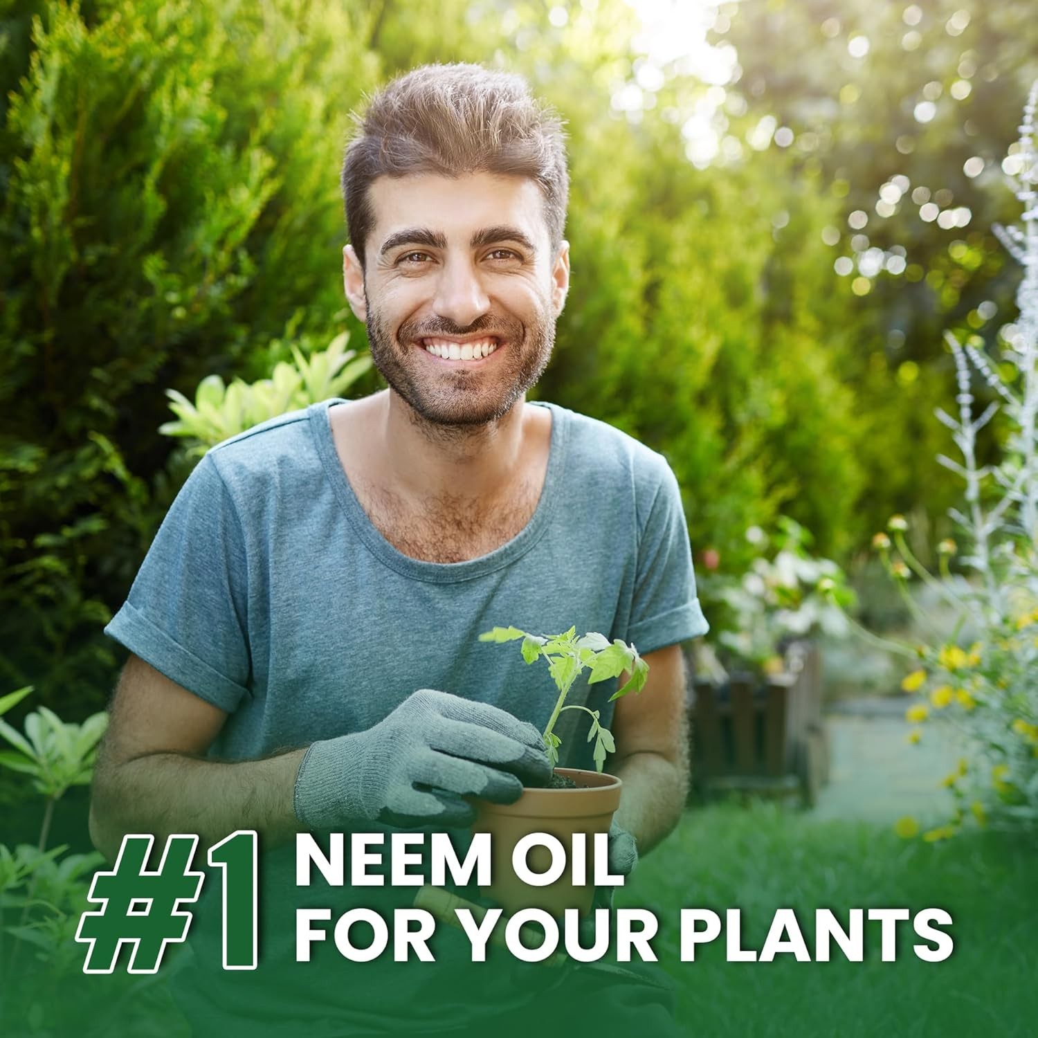 Yield RX Pure Cold-Pressed Neem Oil for Indoor & Outdoor Plants and Vegetables