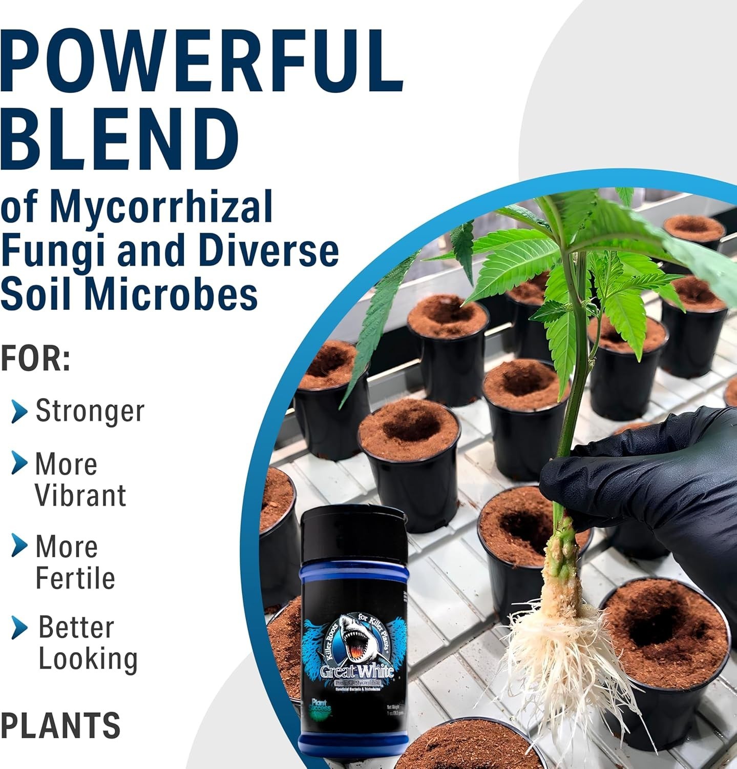 Mycorrhizal Fungi 4 oz – Plant Root Stimulator