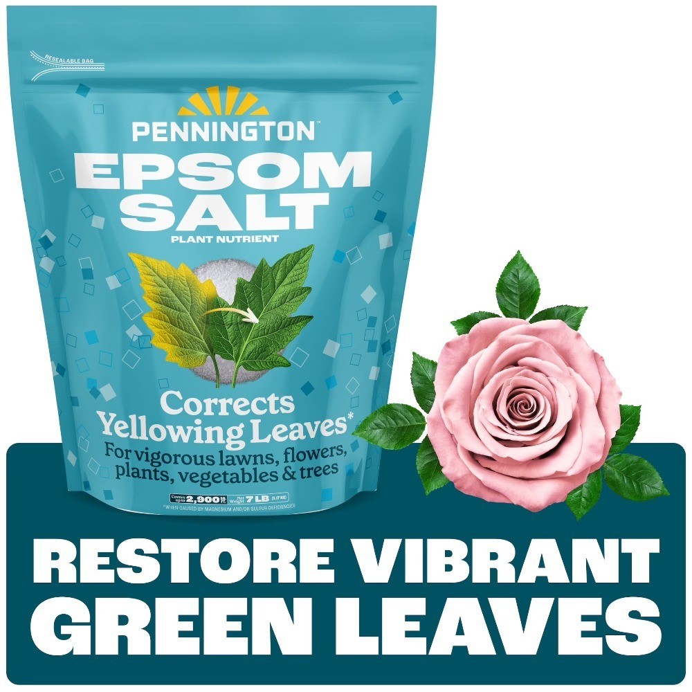 Epsom Salt Plant Food Fertilizer for Plants 7 Lb Magnesium Sulfate Soil Booster