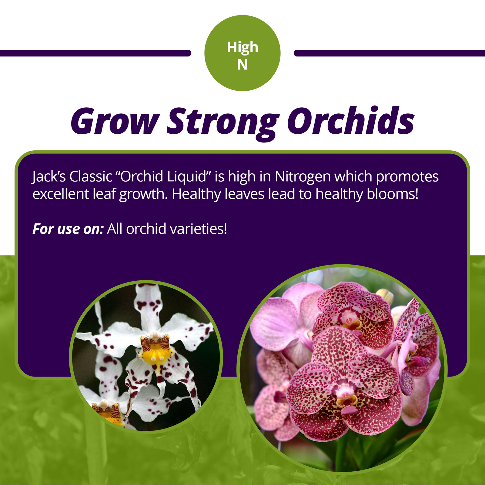 Jack’s Classic 7-5-6 Orchid Liquid Concentrated Fertilizer, 8 fl oz