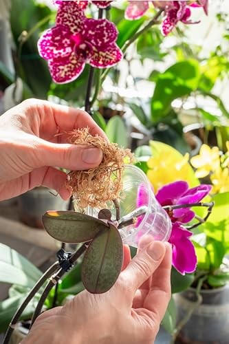 50450 Better Gro ORCHID Moss 190 Cu.In 50 Lb Outdoor Living