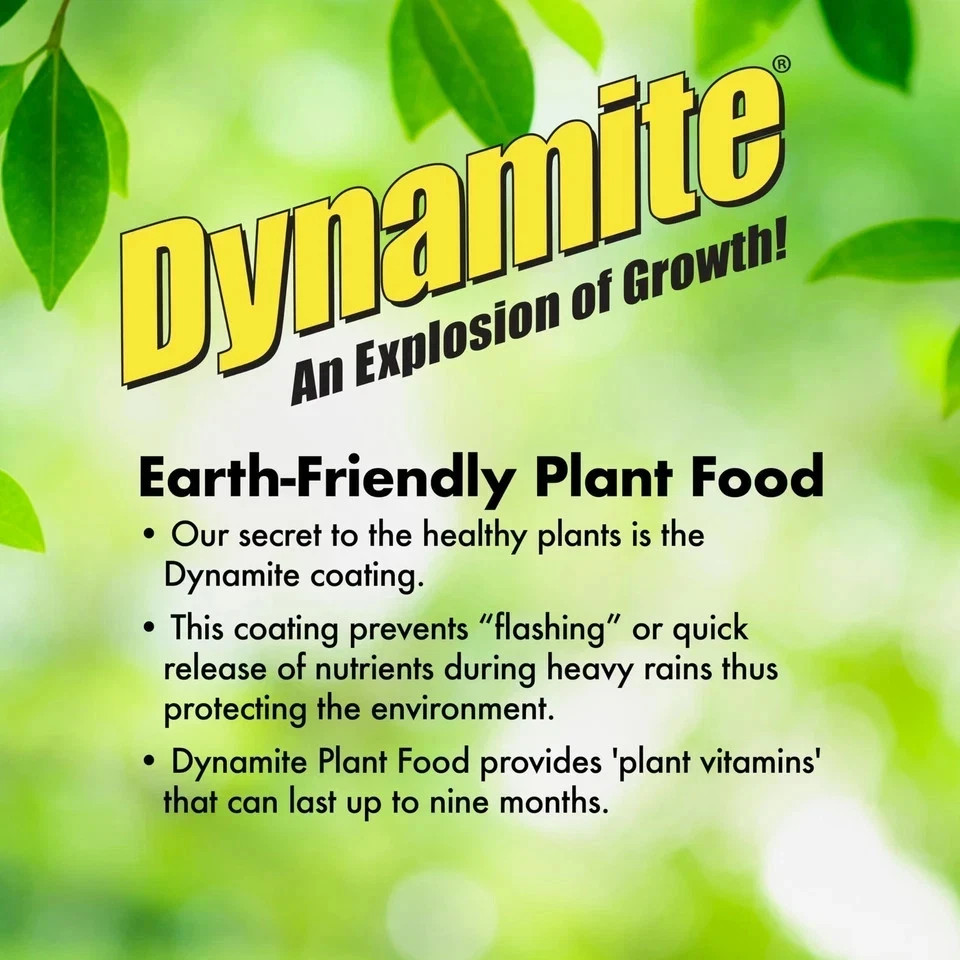Dynamite 1 lb. All-Purpose Flower and Vegetables Plant Food