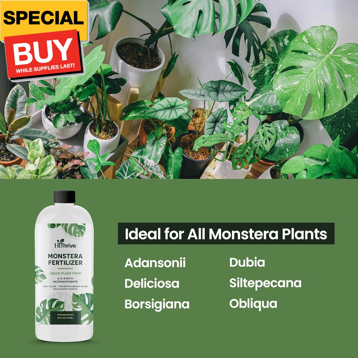 16oz Monstera Plant Food – Makes 96 Gallons of Monstera Fertilizer, Liquid Indoo