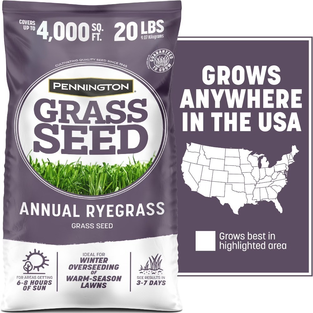 Annual Ryegrass Seed Sun Partial Shade Lawn Turf Fast Growing 20 lb Bag