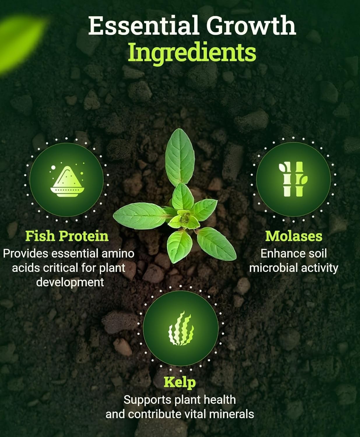 Bush Doctor Wholly Mackerel Fish Fertilizer, Fx14113 – Liquid Plant Nutrient …