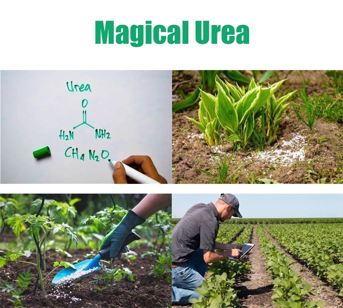 Urea Fertilizer 46-0-0, Nitrogen Fertilizer for Plant Growth and Green Lawns, Fr