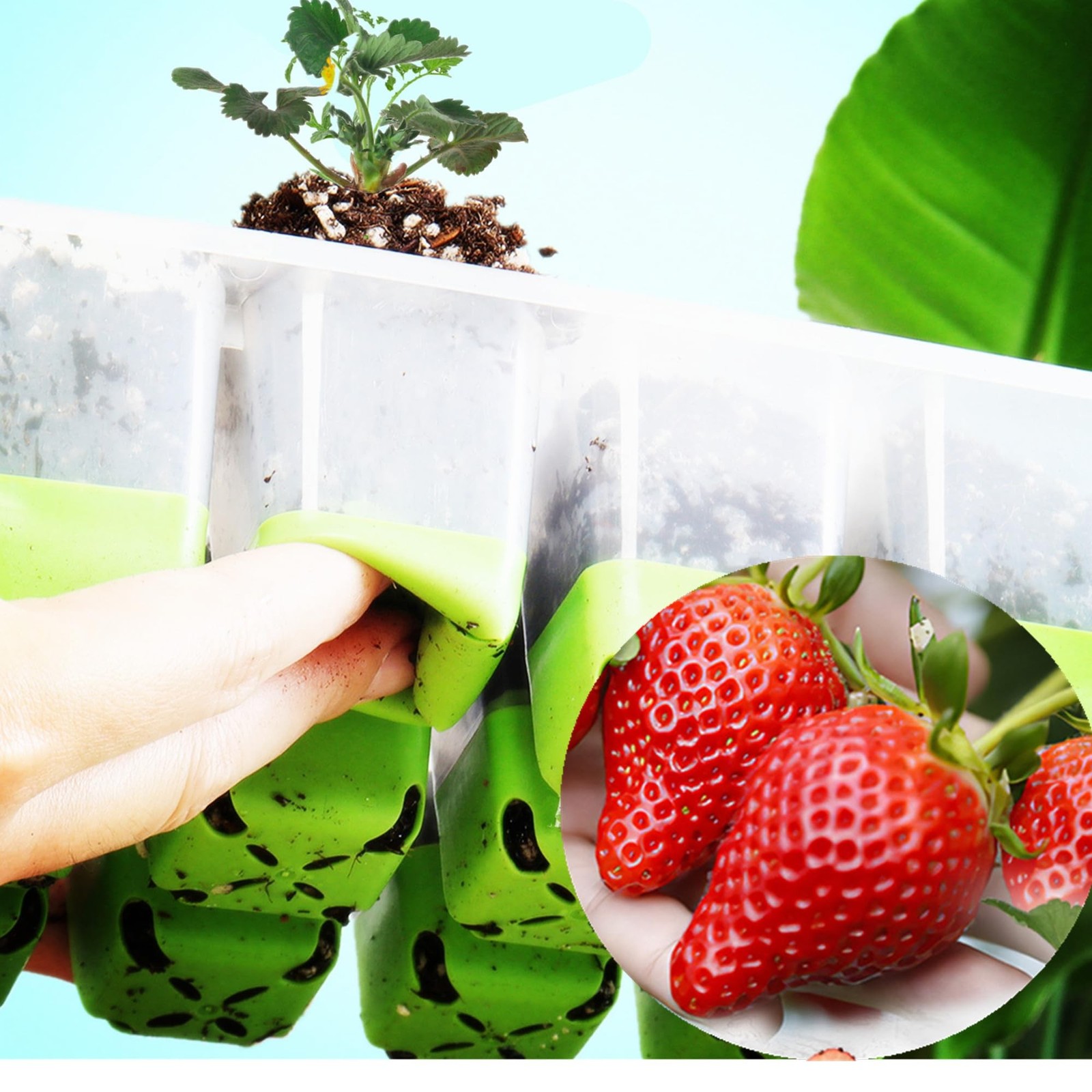 5pcs Seed Starter Tray, Silicone Seeding Starter with Pop-Out Cells (60 Cells…