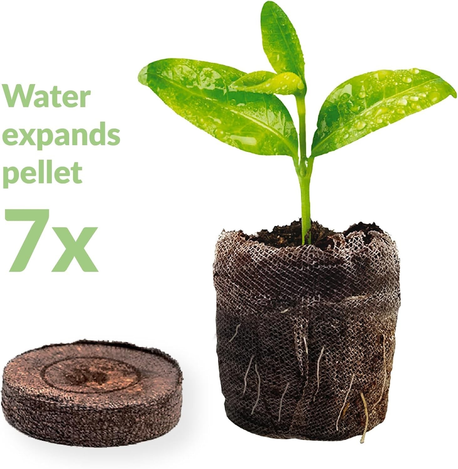 100 Count 36mm Peat Soil Pellets – Indoor Seed Starting Plugs for Easy Gardening
