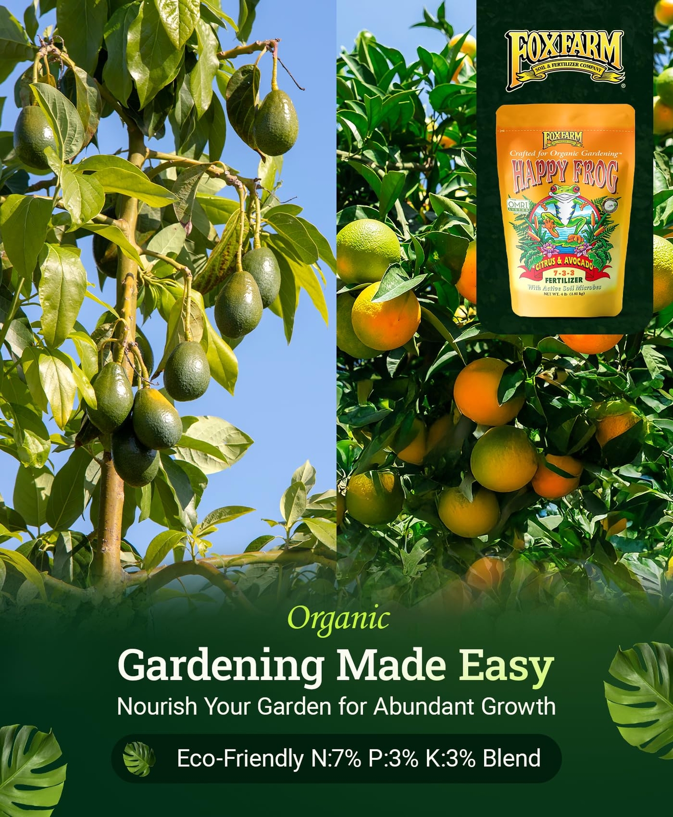 4 lb Organic Citrus Avocado Fertilizer for Lemon Orange Trees NPK 7 3 3