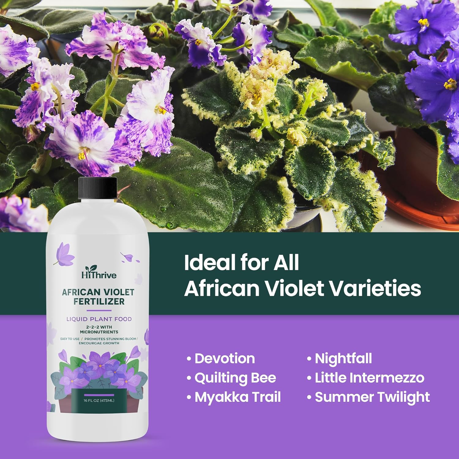 16Oz African Violet Fertilizer for African Violets Live Plants – Makes 24 Gallon
