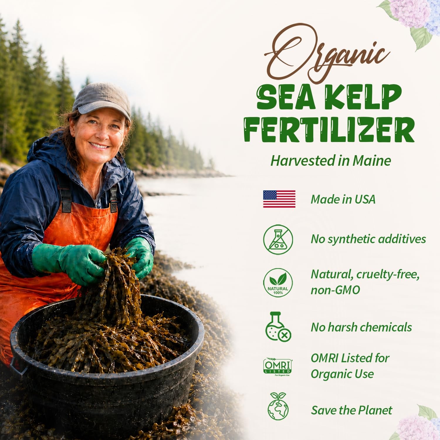 Organic Hydrangea Fertilizer, 8oz Makes 48 Gallons, Liquid Kelp Plant Food | …